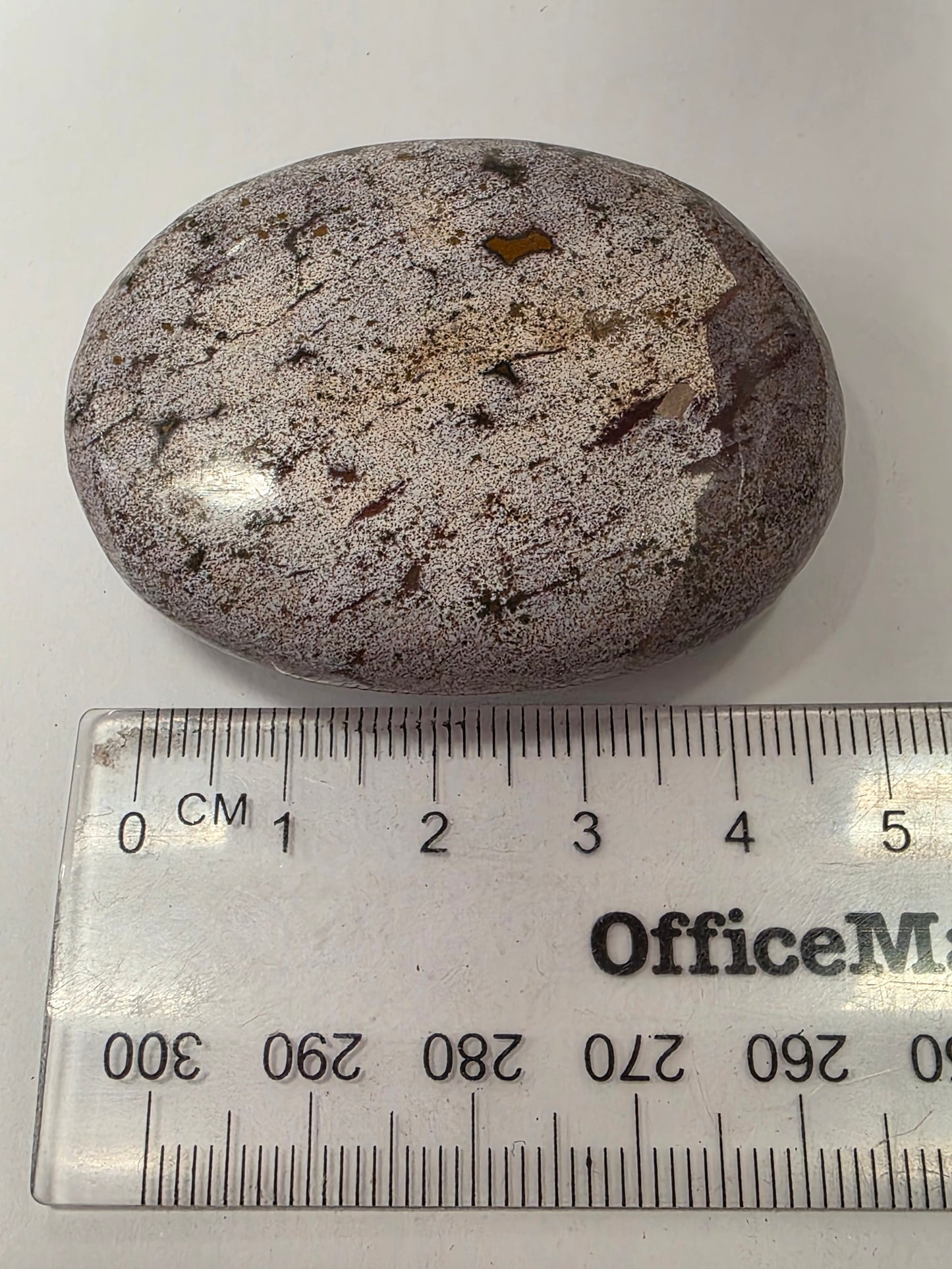 Ocean Jasper Palmstone #4