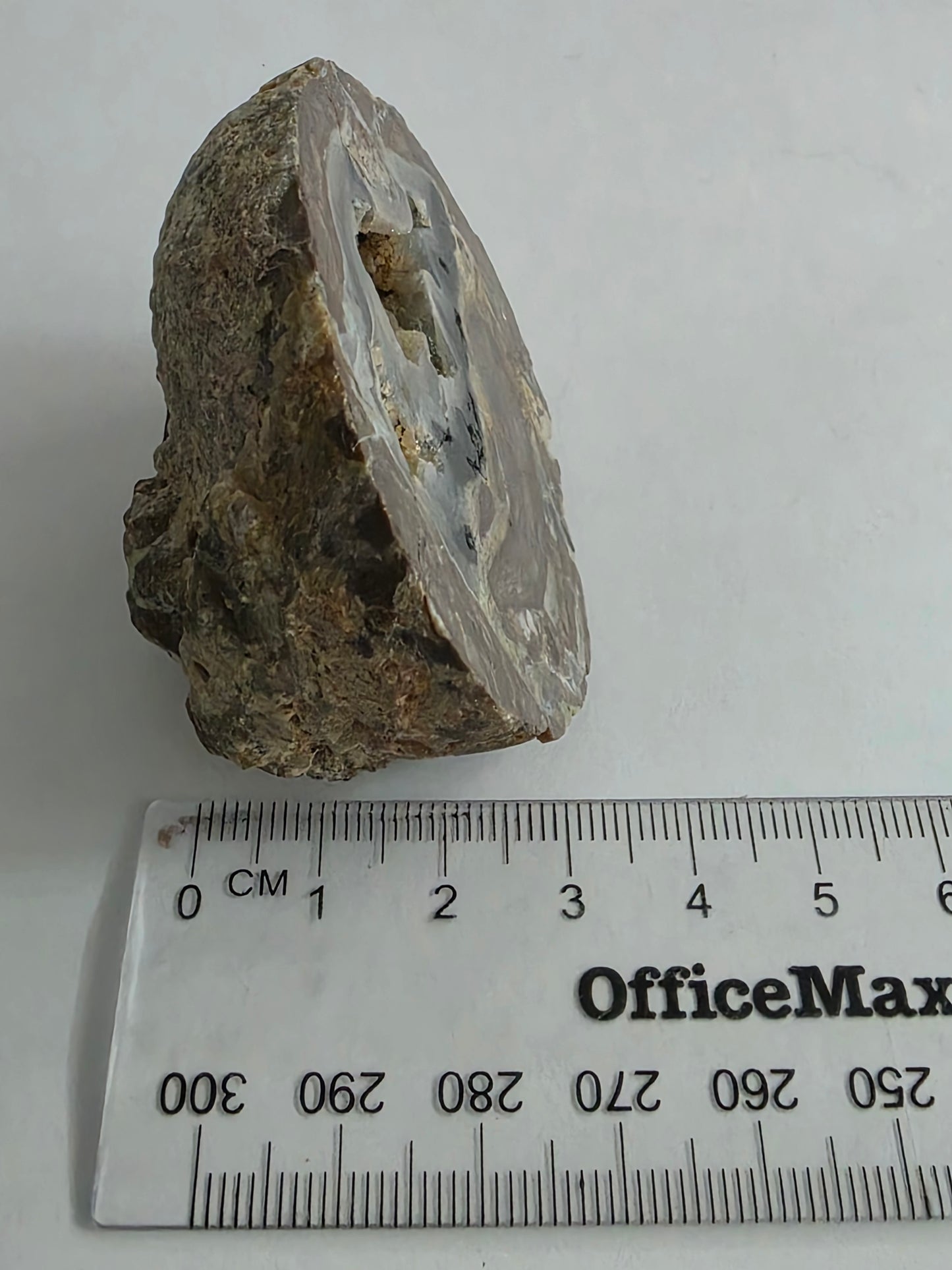 New Zealand Agate – Natural Cavity & Banded Formation