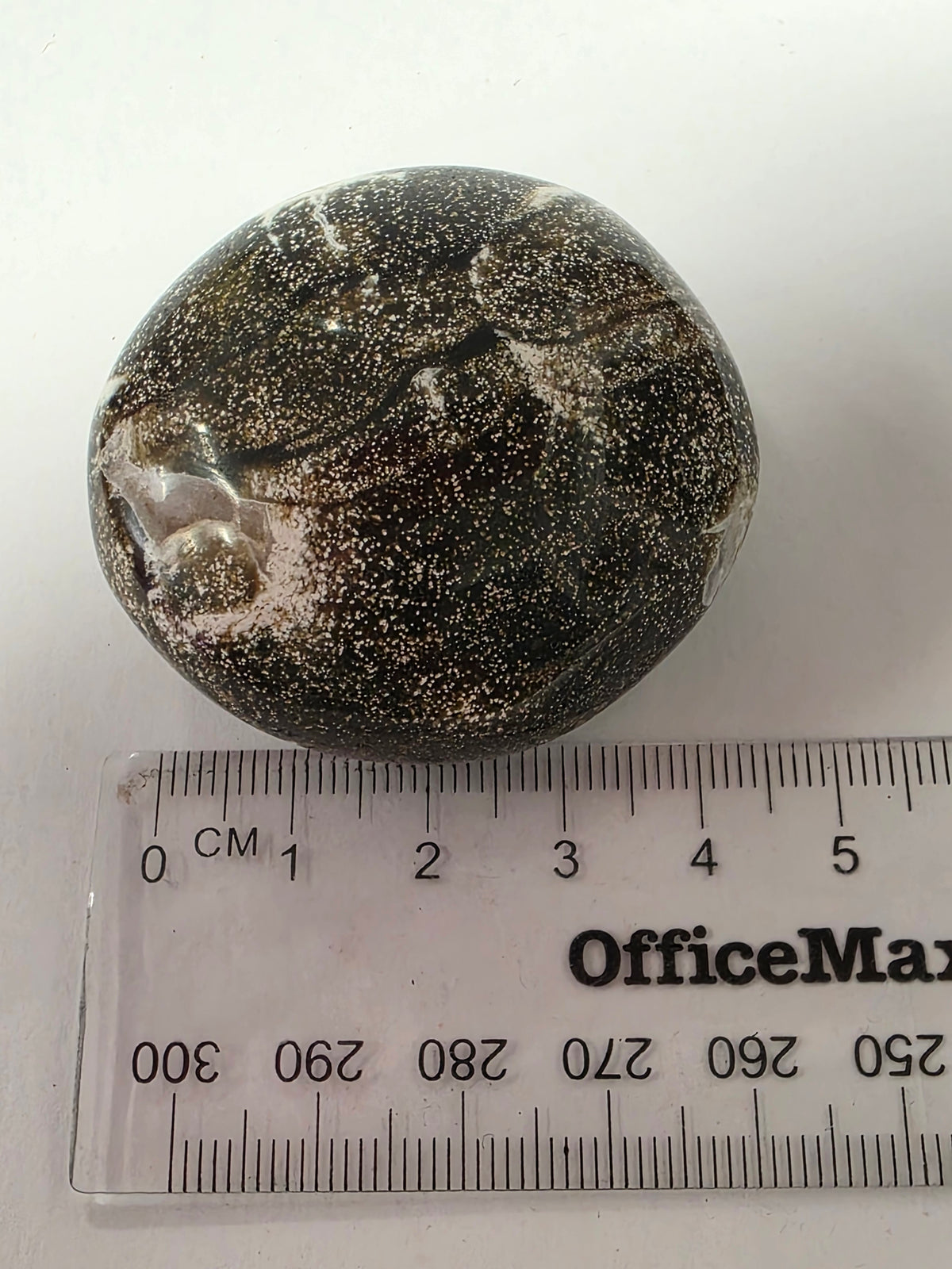 Ocean Jasper Palmstone #2