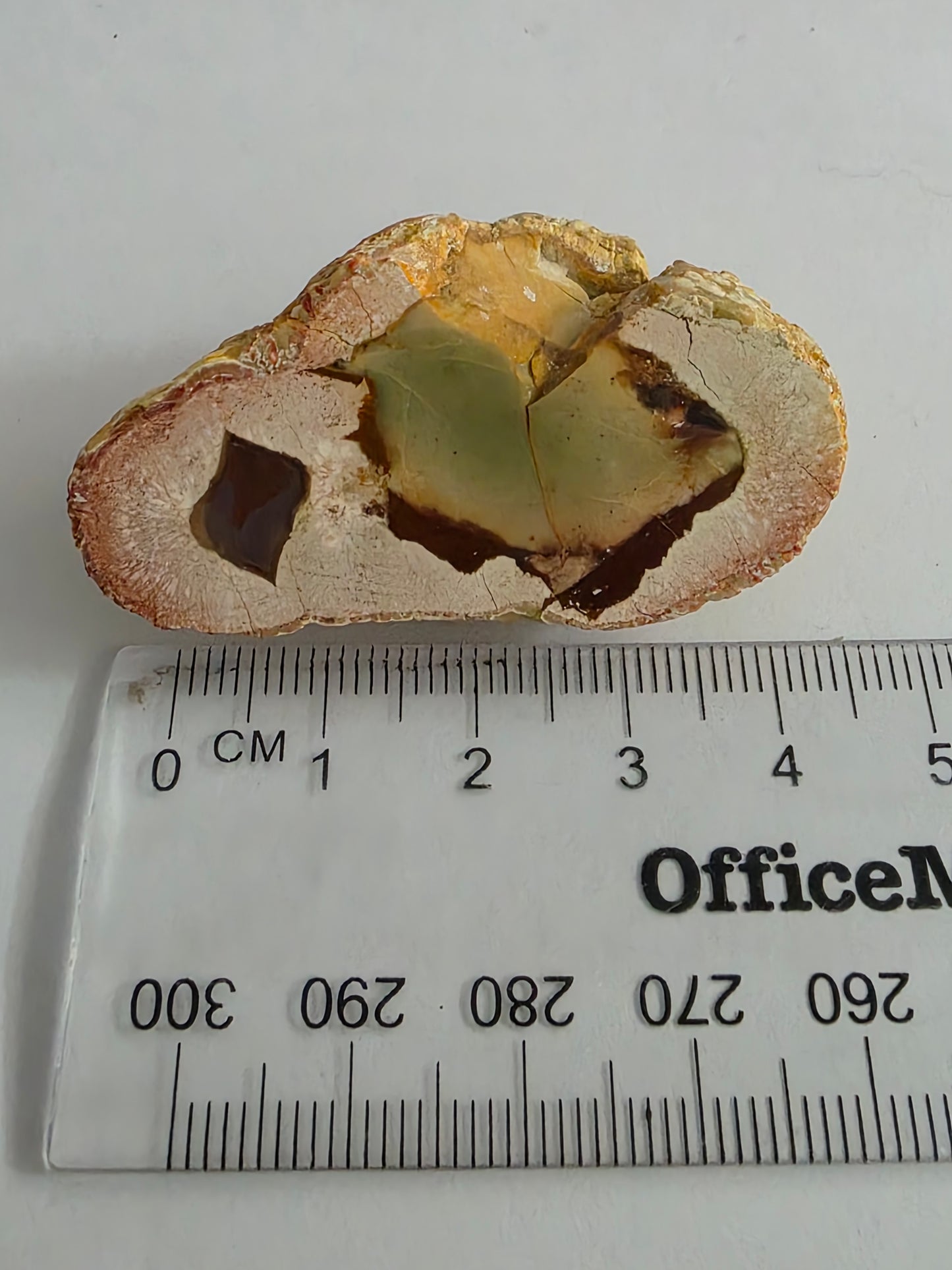 New Zealand Thunderegg – Cut & Polished Face