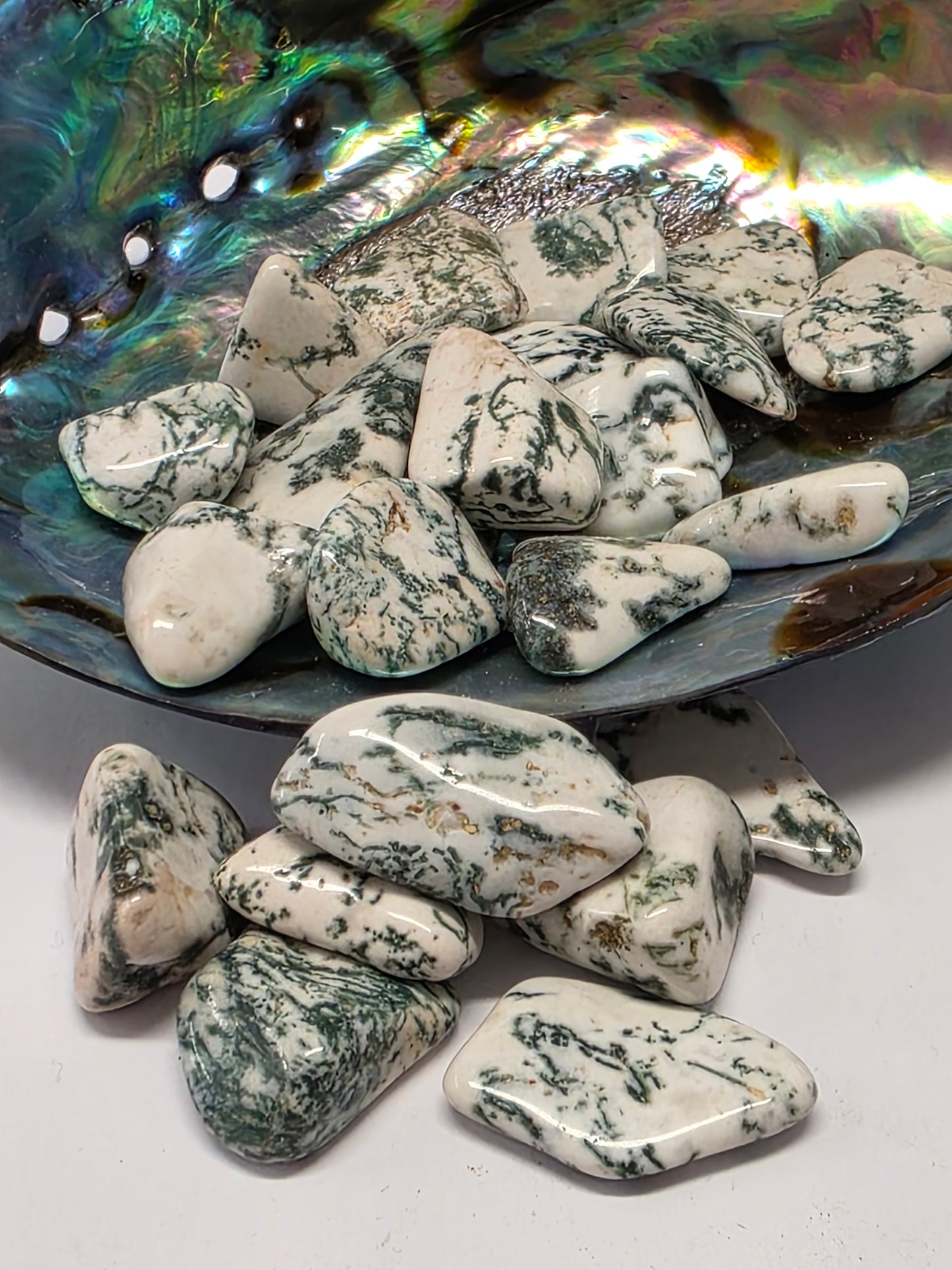 Tree Agate Tumble