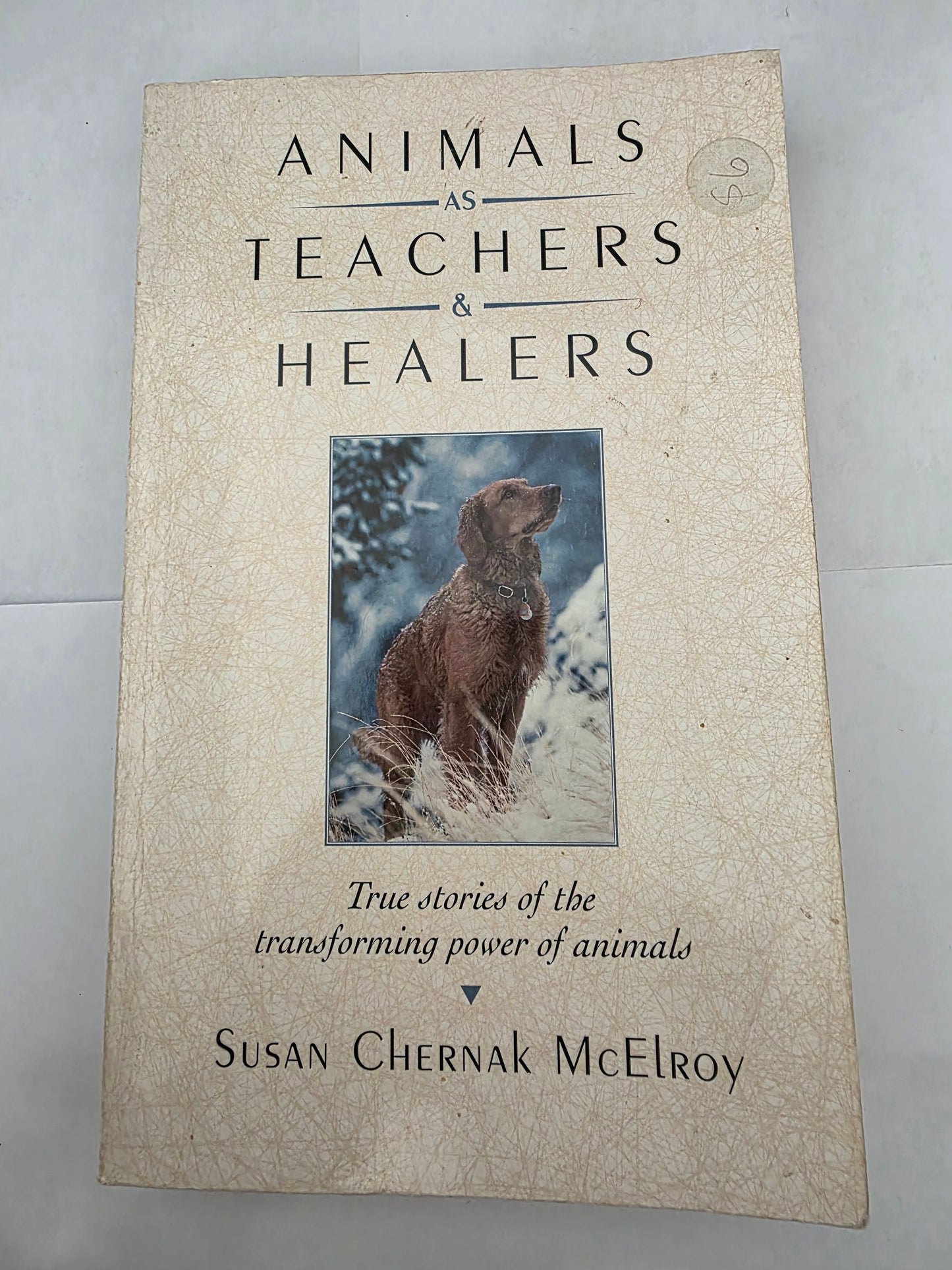 Animals as Teachers & Healers – Susan Chernak McElroy | Pre-Loved Book
