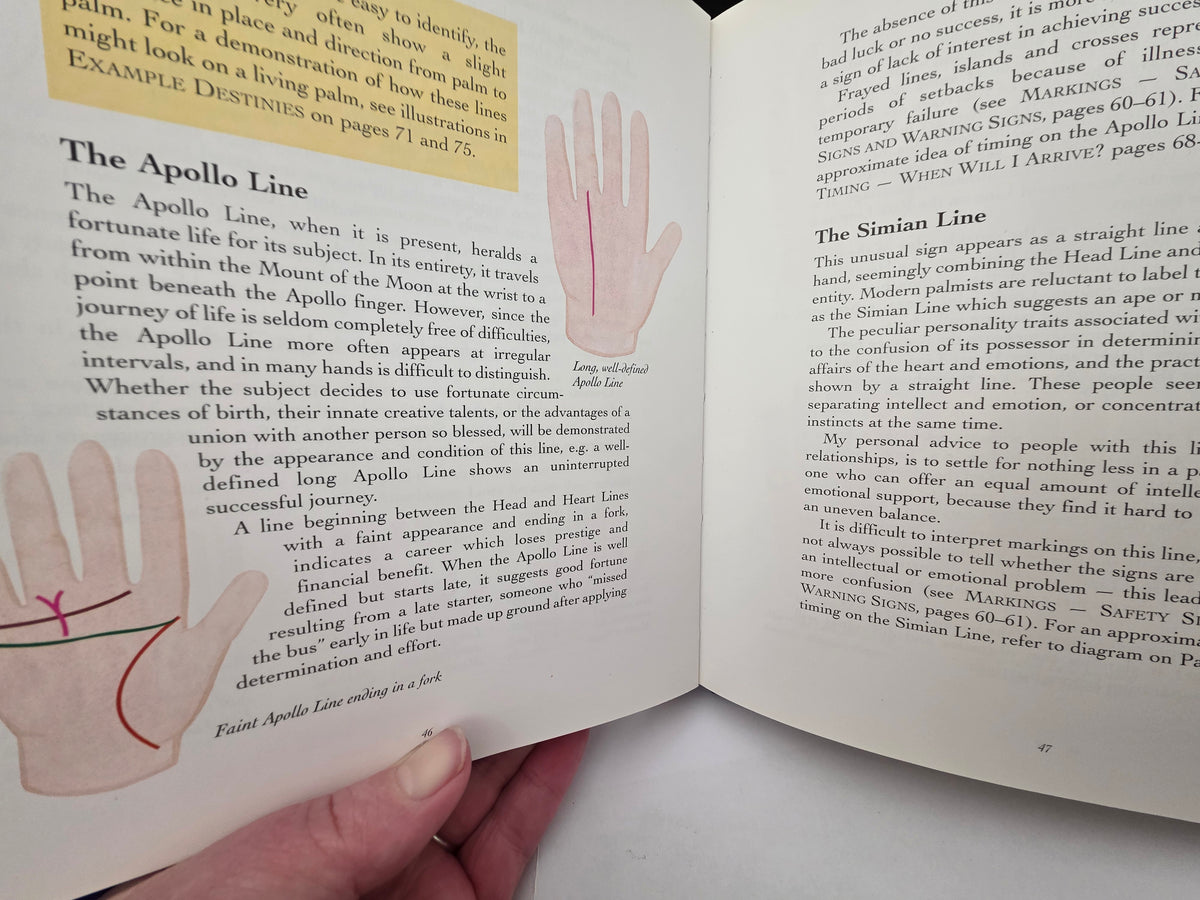 Palmistry: Your Highway to Life – Hazel Whitaker | Pre-Loved Book