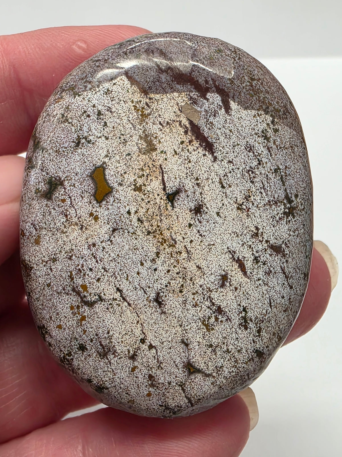Ocean Jasper Palmstone #4