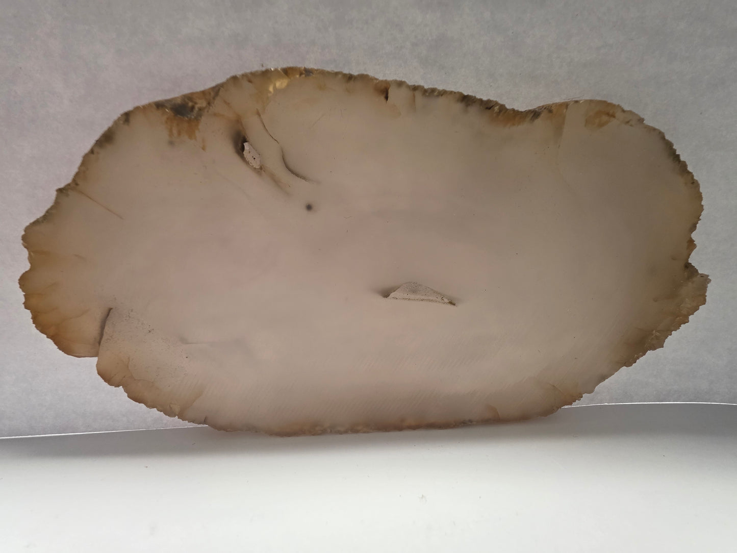 Natural Agate Slice – Large