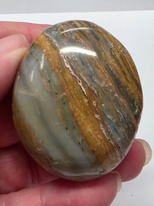 Ocean Jasper Palmstone #1