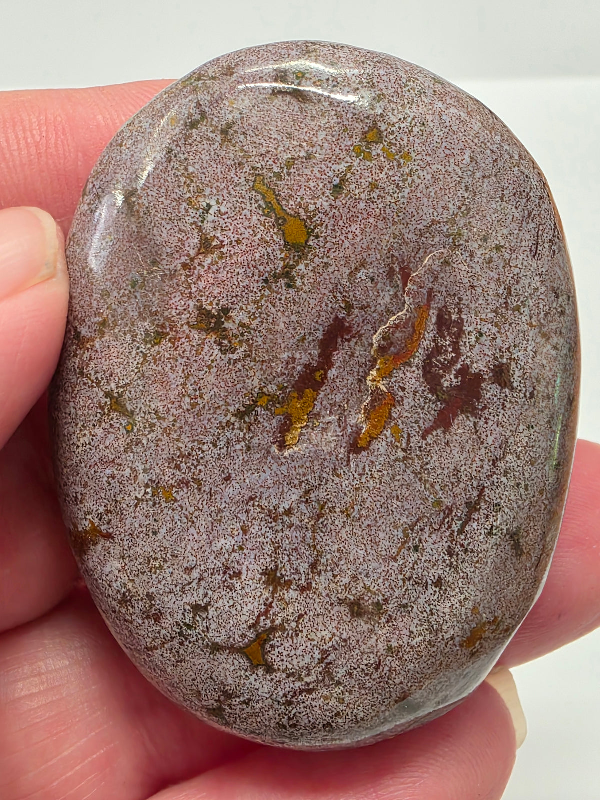 Ocean Jasper Palmstone #4