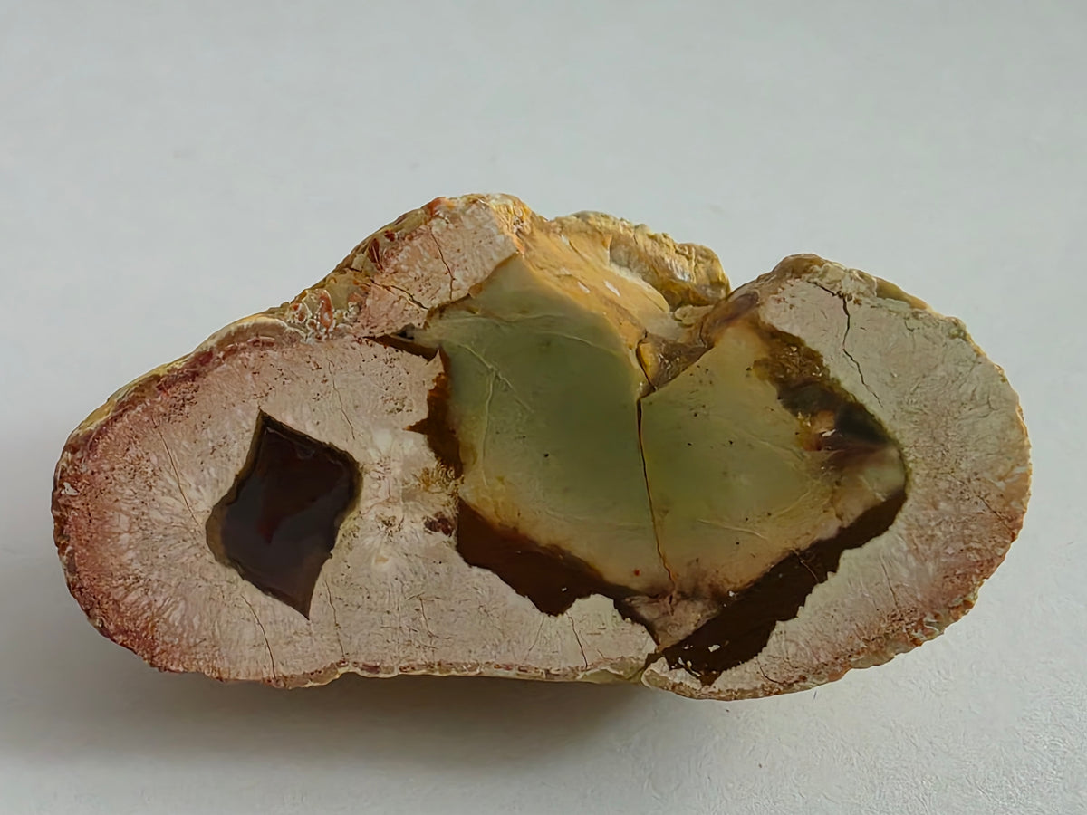New Zealand Thunderegg – Cut & Polished Face