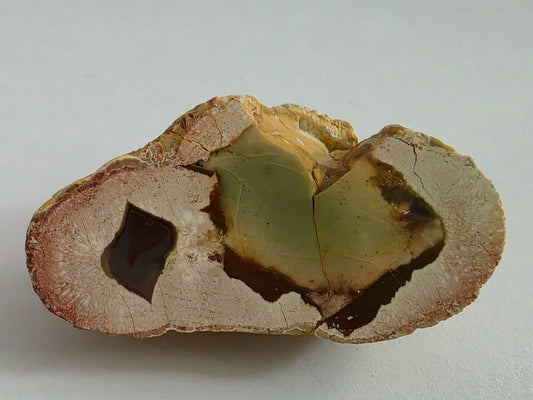 New Zealand Thunderegg – Cut & Polished Face