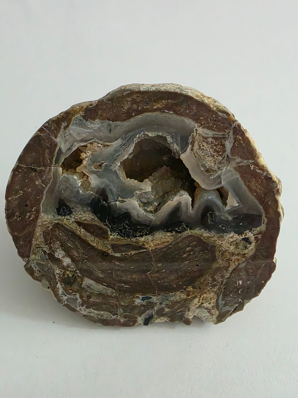 New Zealand Agate – Natural Cavity & Banded Formation