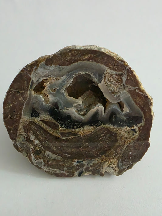 New Zealand Agate – Natural Cavity & Banded Formation