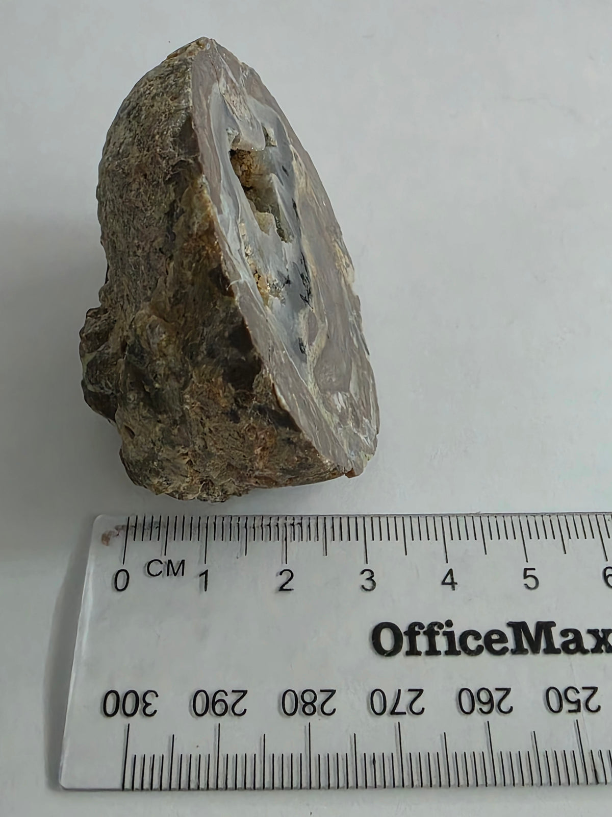 New Zealand Agate – Natural Cavity & Banded Formation