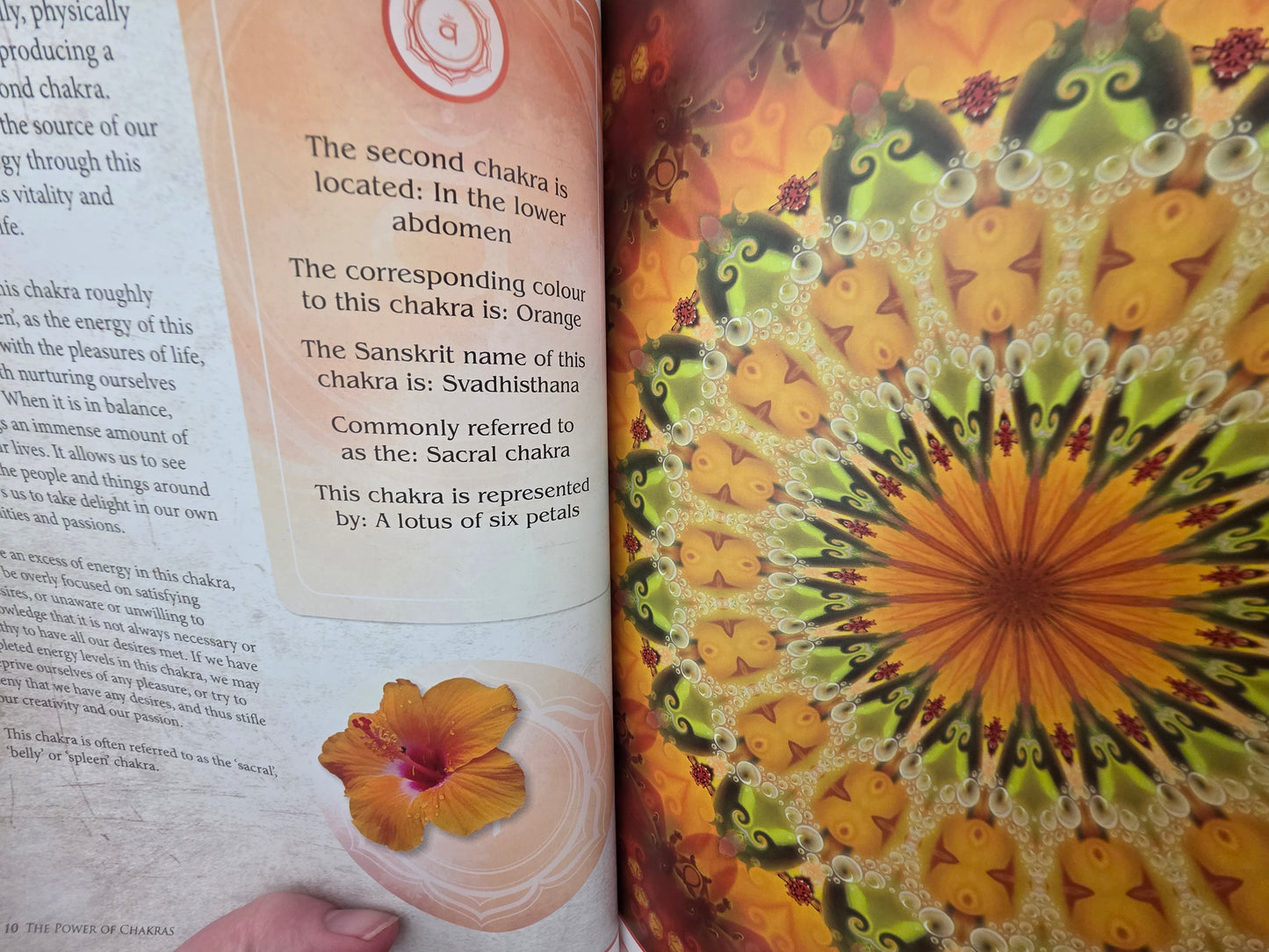 The Power of Chakras | Pre-Loved Book