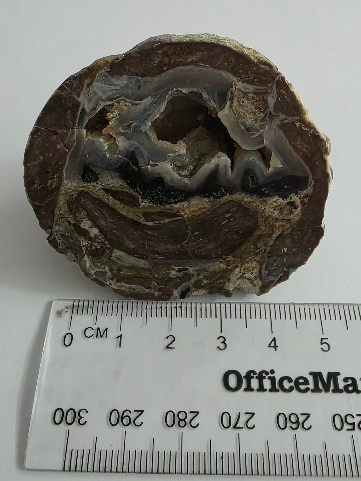 New Zealand Agate – Natural Cavity & Banded Formation