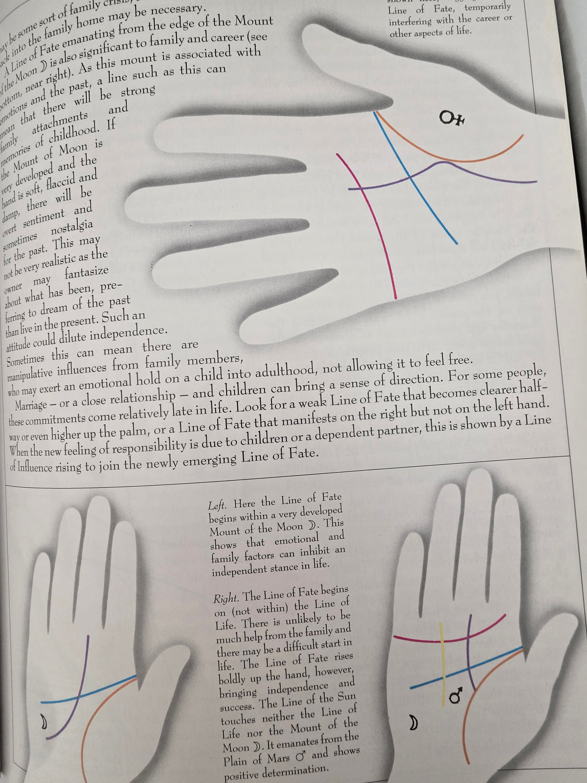 Palmistry: How to Chart the Lines of Your Life – Roz Levine | Pre-Loved Book