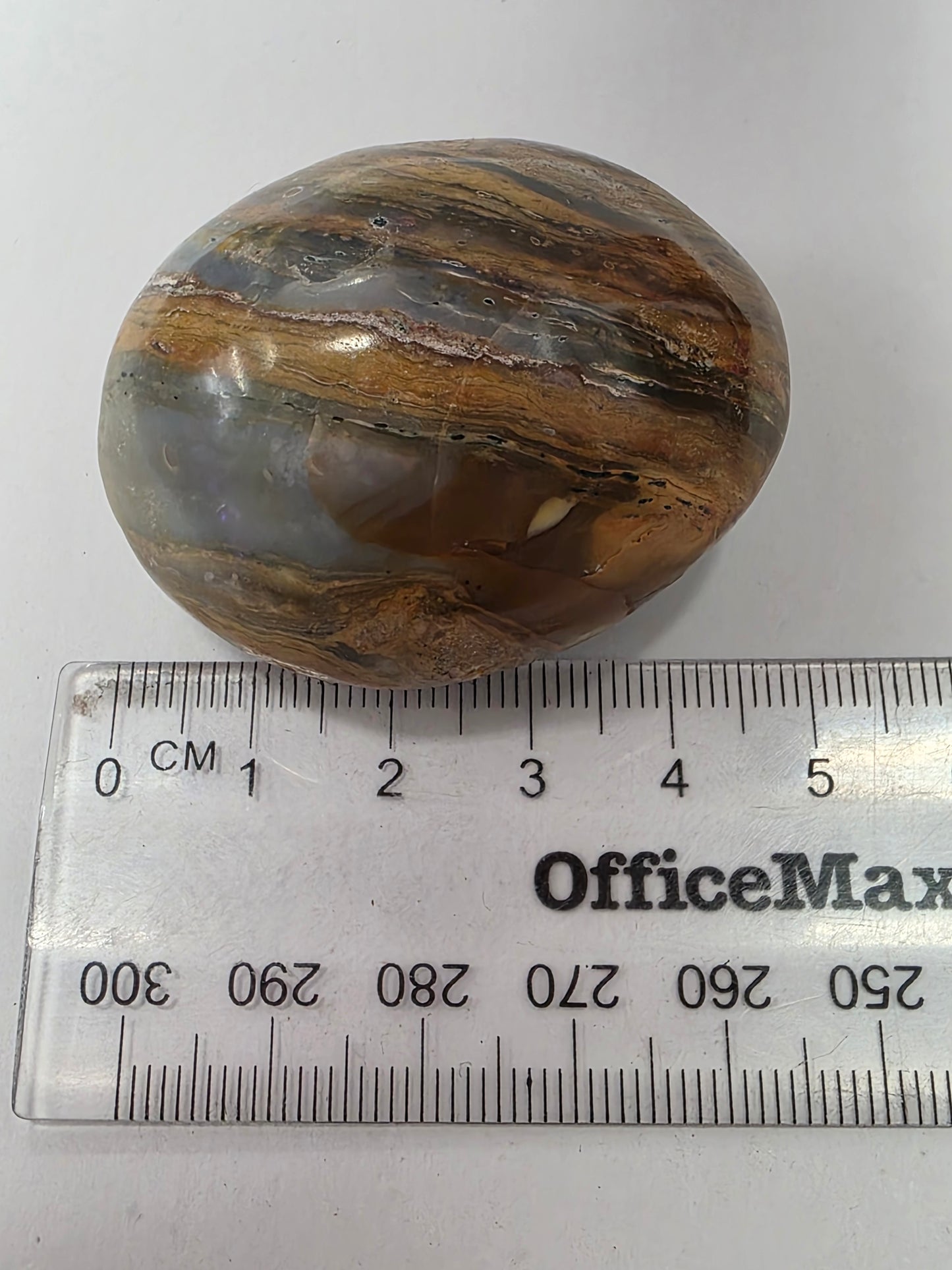Ocean Jasper Palmstone #1