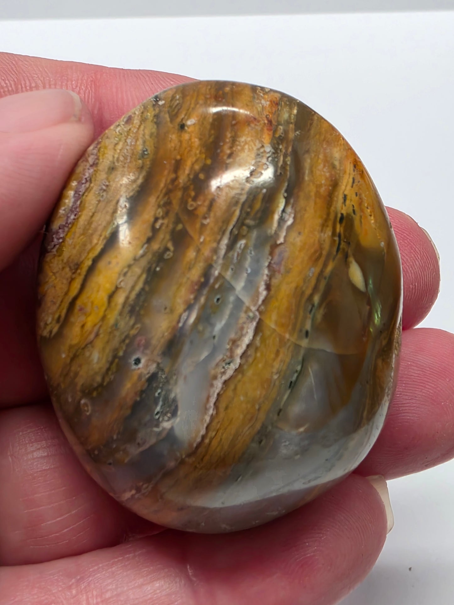 Ocean Jasper Palmstone #1