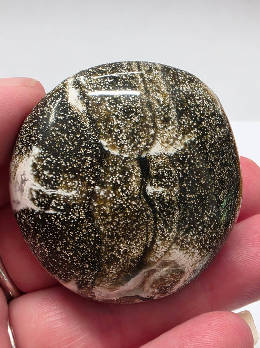 Ocean Jasper Palmstone #2