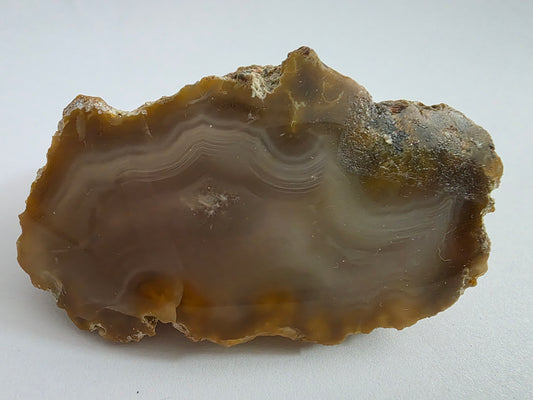New Zealand Agate – Large Brown Banded Cut & Polished Face