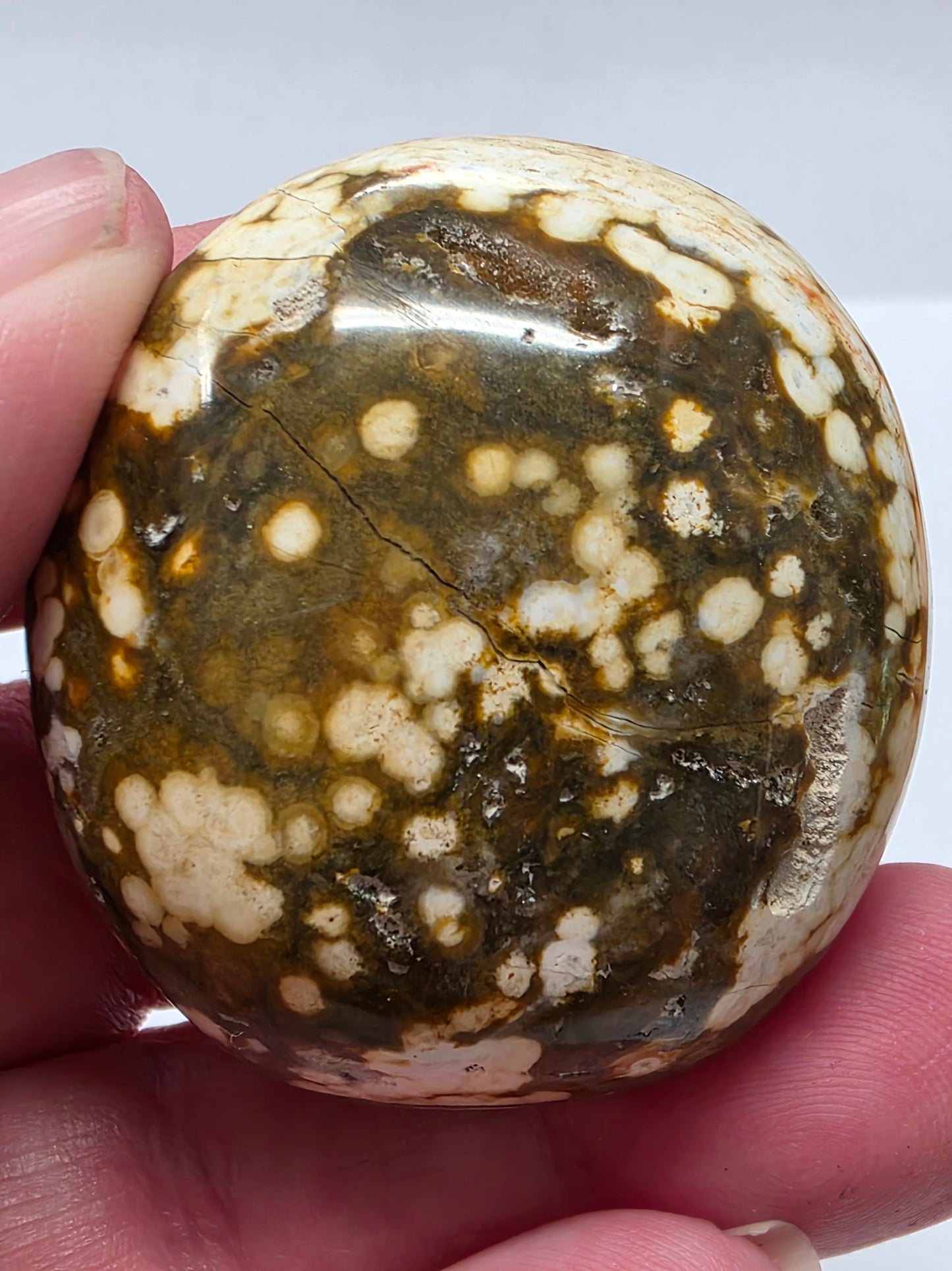 Ocean Jasper Palmstone #3