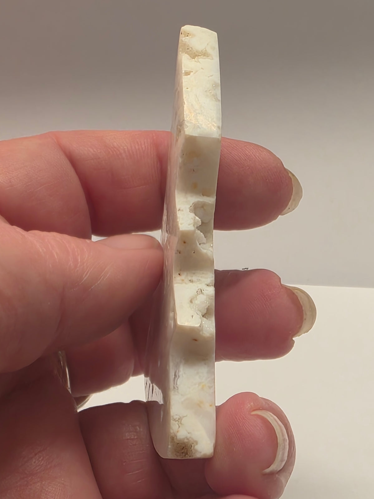 Plume Agate Christmas Tree