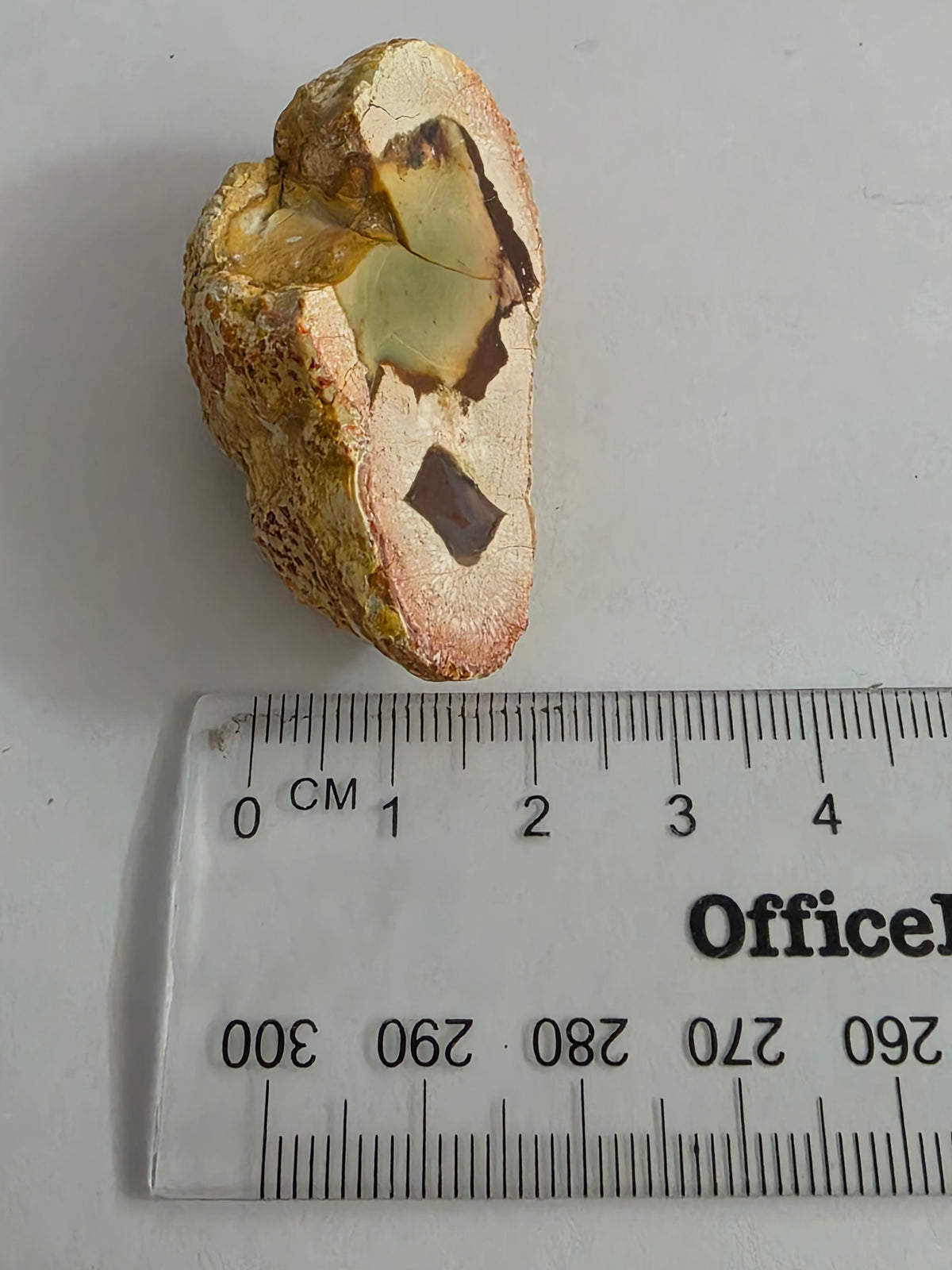 New Zealand Thunderegg – Cut & Polished Face