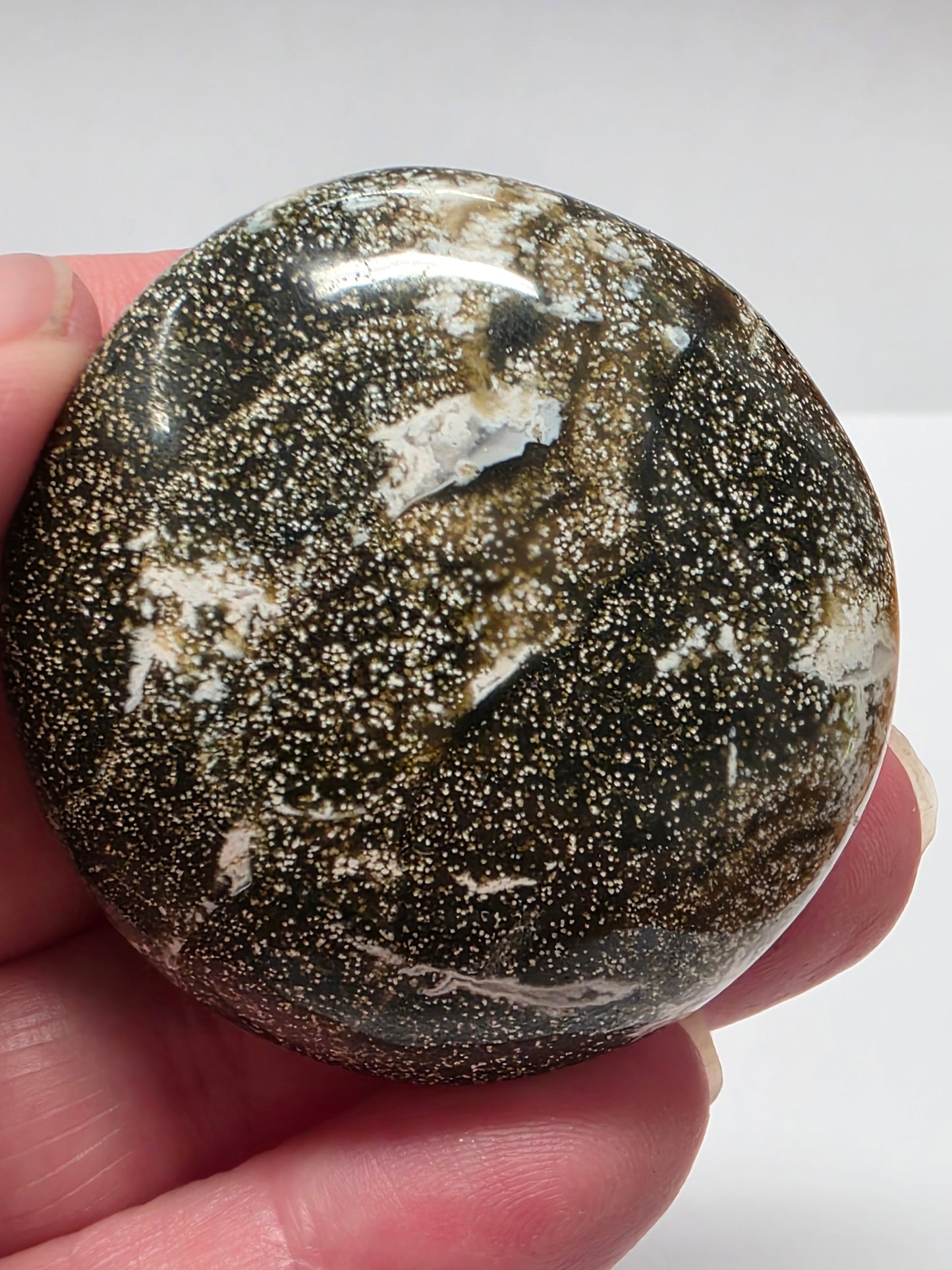 Ocean Jasper Palmstone #2