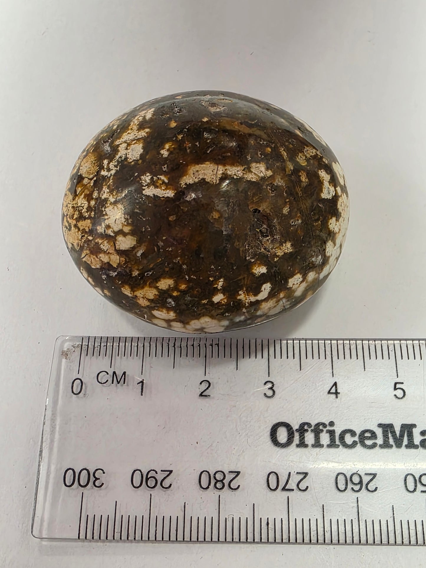Ocean Jasper Palmstone #3
