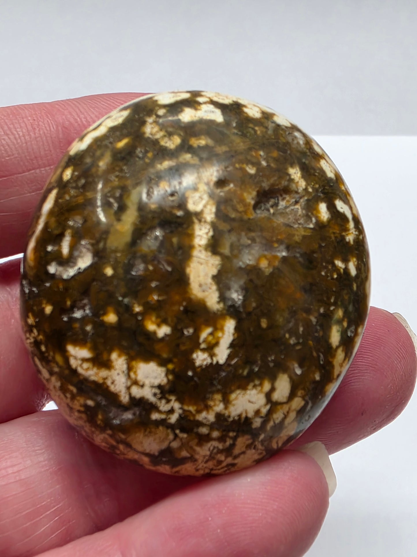 Ocean Jasper Palmstone #3