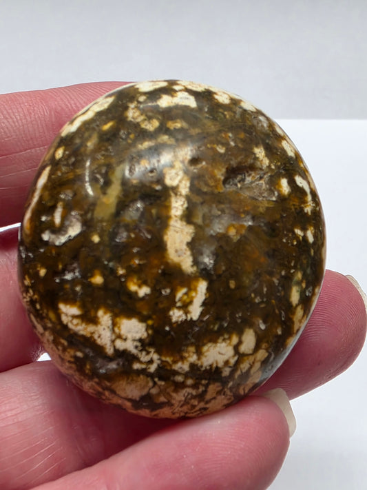Ocean Jasper Palmstone #3